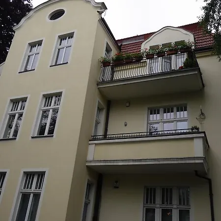 Classic Spot Sopot